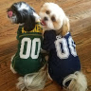 Meet your Posher, Sam